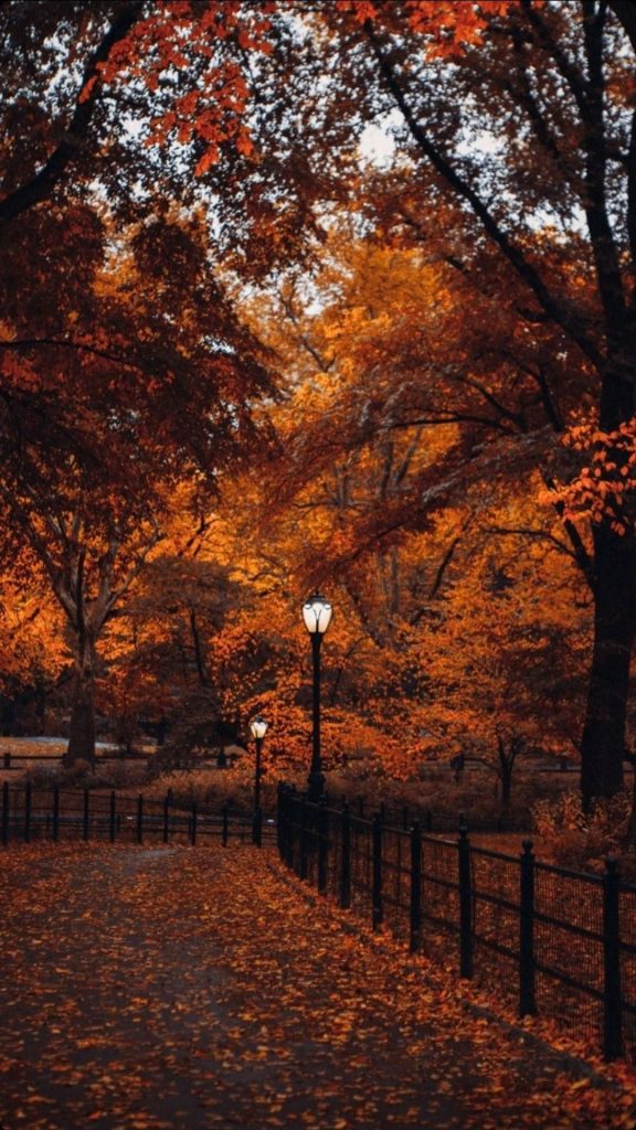 aesthetic autumn instagram story template apple orchard photo grid instagram story template aesthetic fall