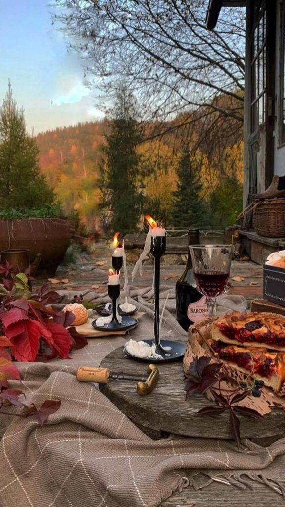 aesthetic autumn instagram story template plaid pattern picnic instagram story template aesthetic autumn