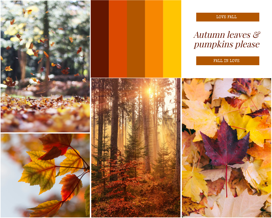 aesthetic inspiration board story seasonal inspiration board story template with autumn leaves, pumpkins, and warm tones