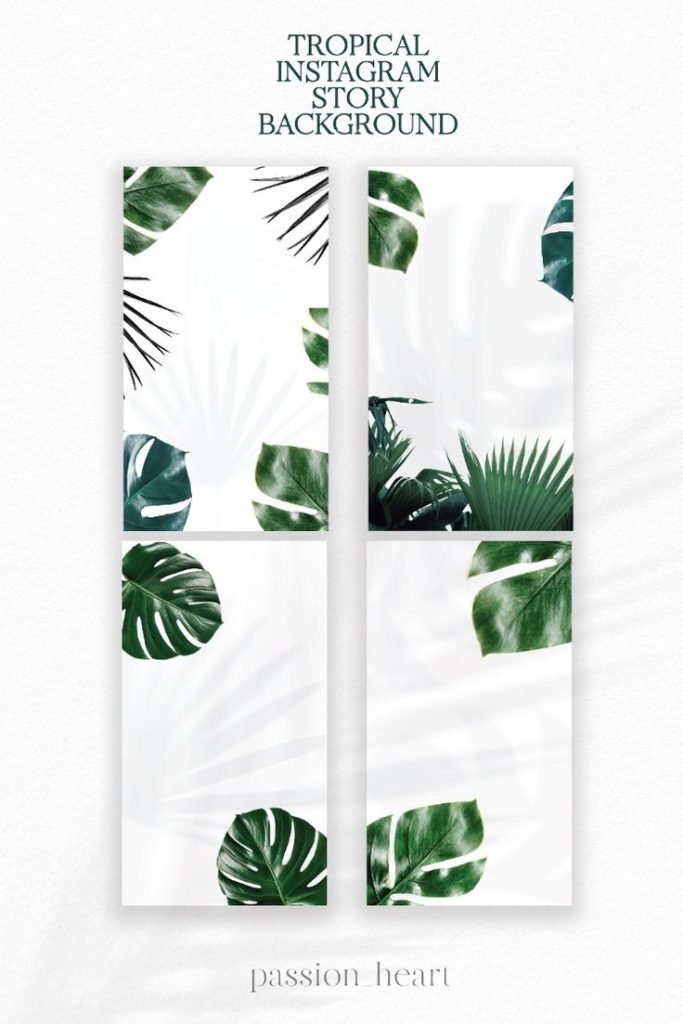 aesthetic instagram story background tropical leaves background aesthetic instagram story