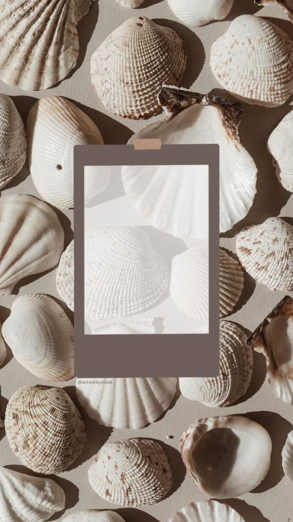 aesthetic summer sale story template shell celebration Instagram story template pastel seashells