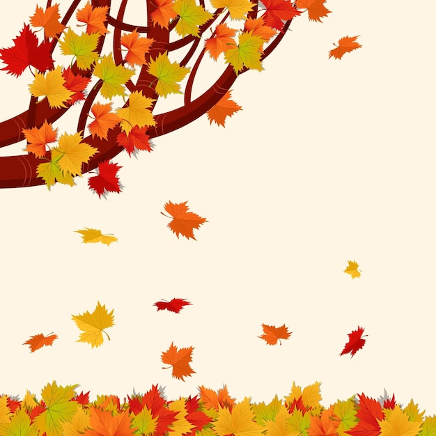 aesthetic fall collection story Instagram story template with falling autumn leaves animation overlay