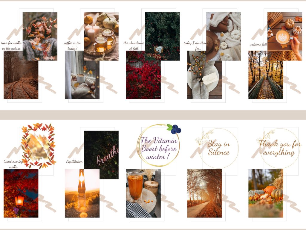 aesthetic fall instagram story template woodland fall Instagram story template forest aesthetic