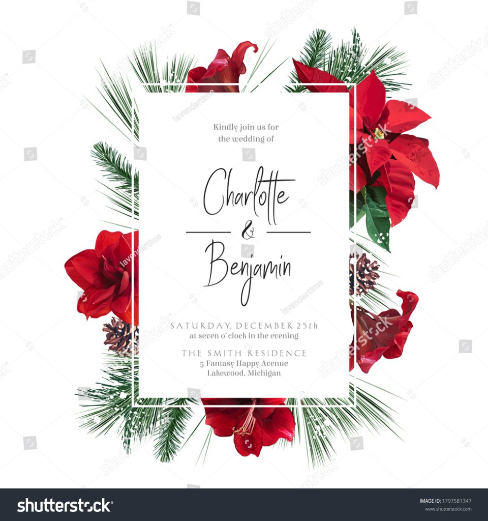 aesthetic holiday story template festive floral red white gold amaryllis