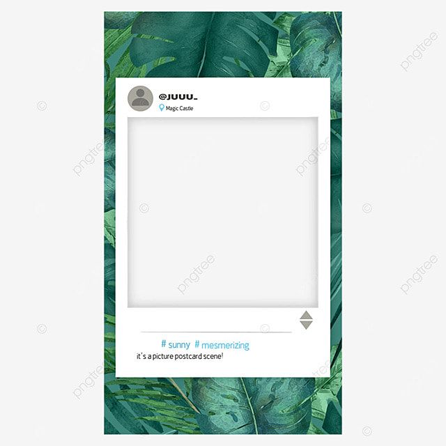 aesthetic instagram story border vine leaf border Instagram story nature aesthetic