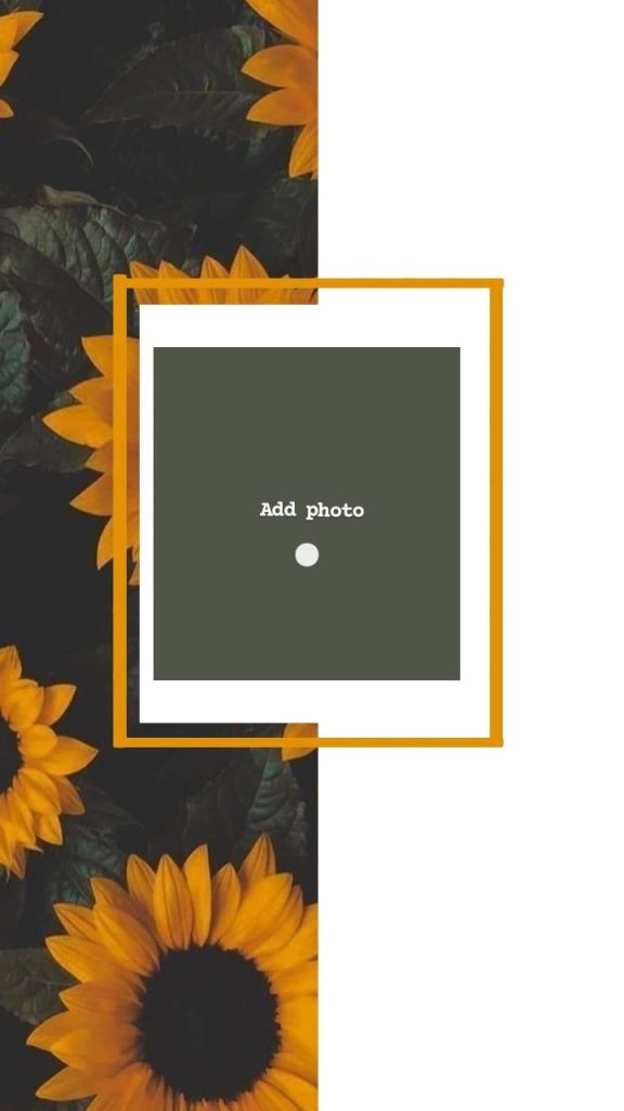 aesthetic intro story template gradient fade aesthetic instagram story intro