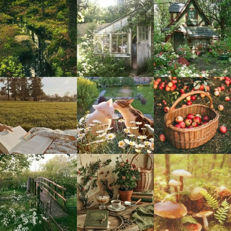 aesthetic moodboard story template cottagecore moodboard Instagram story template with wildflowers and rustic wood