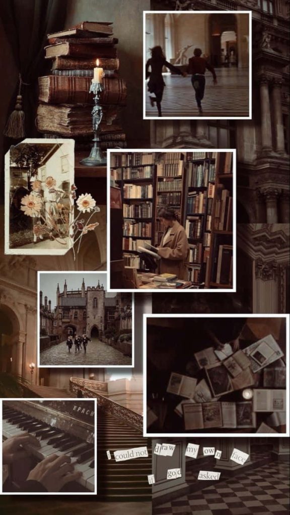 aesthetic moodboard story template dark academia moodboard Instagram story template with library and vintage books