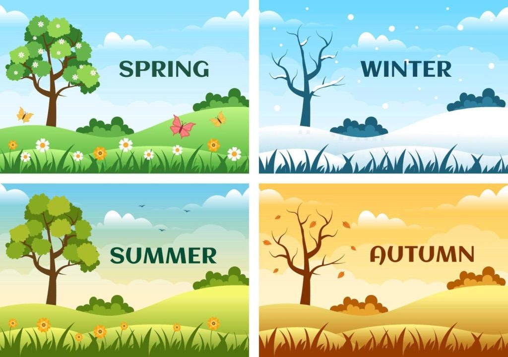 aesthetic wardrobe story template aesthetic seasonal style story template winter summer fall spring Instagram