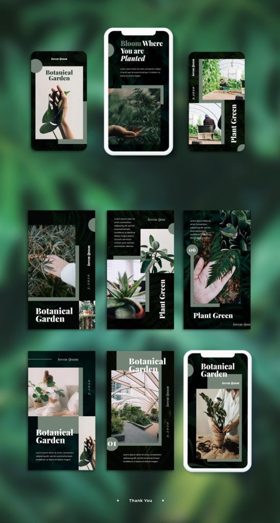 elegant aesthetic instagram story templates vintage botanical illustration sepia ferns