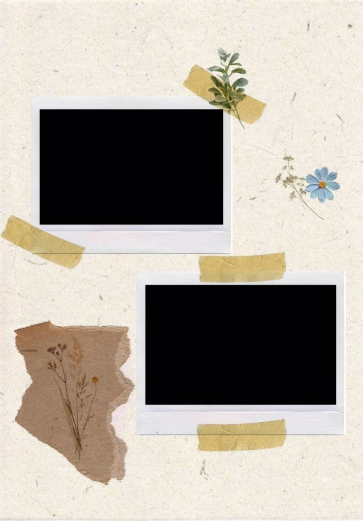 free aesthetic instagram story template vintage polaroid frame instagram story template free